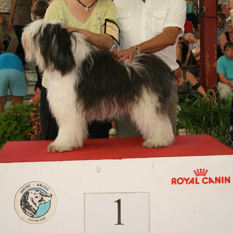 Norka Urwisu Fenomenalna felka